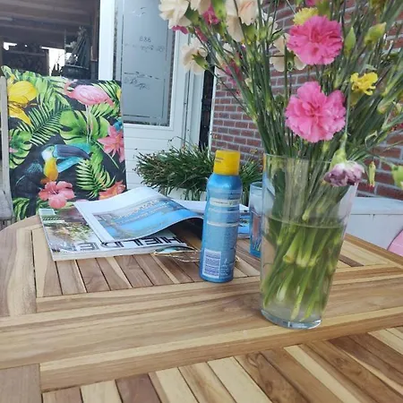 Buiten Gewoon Callantsoog