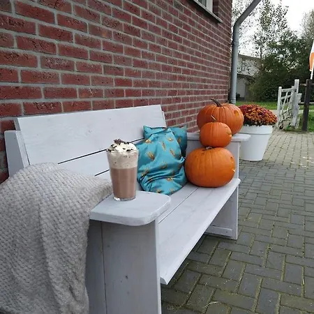 Apartamento Buiten Gewoon *