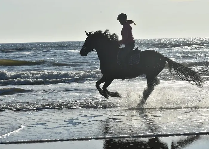 Buiten Gewoon アパート