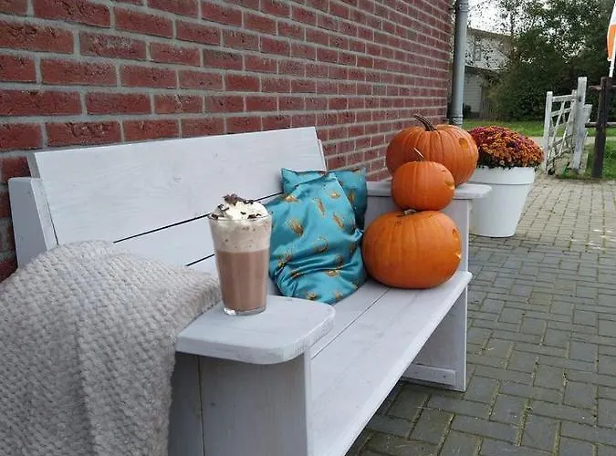 Daire Buiten Gewoon *