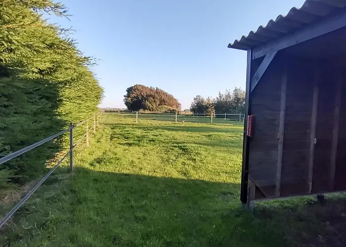 Buiten Gewoon * Callantsoog